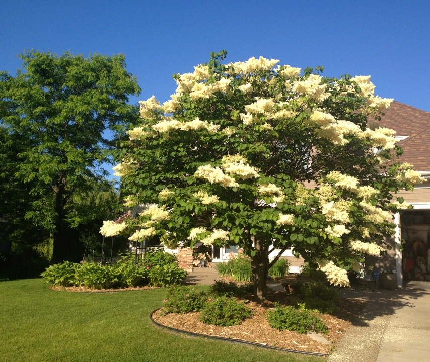 Peanut Butter and Jam.