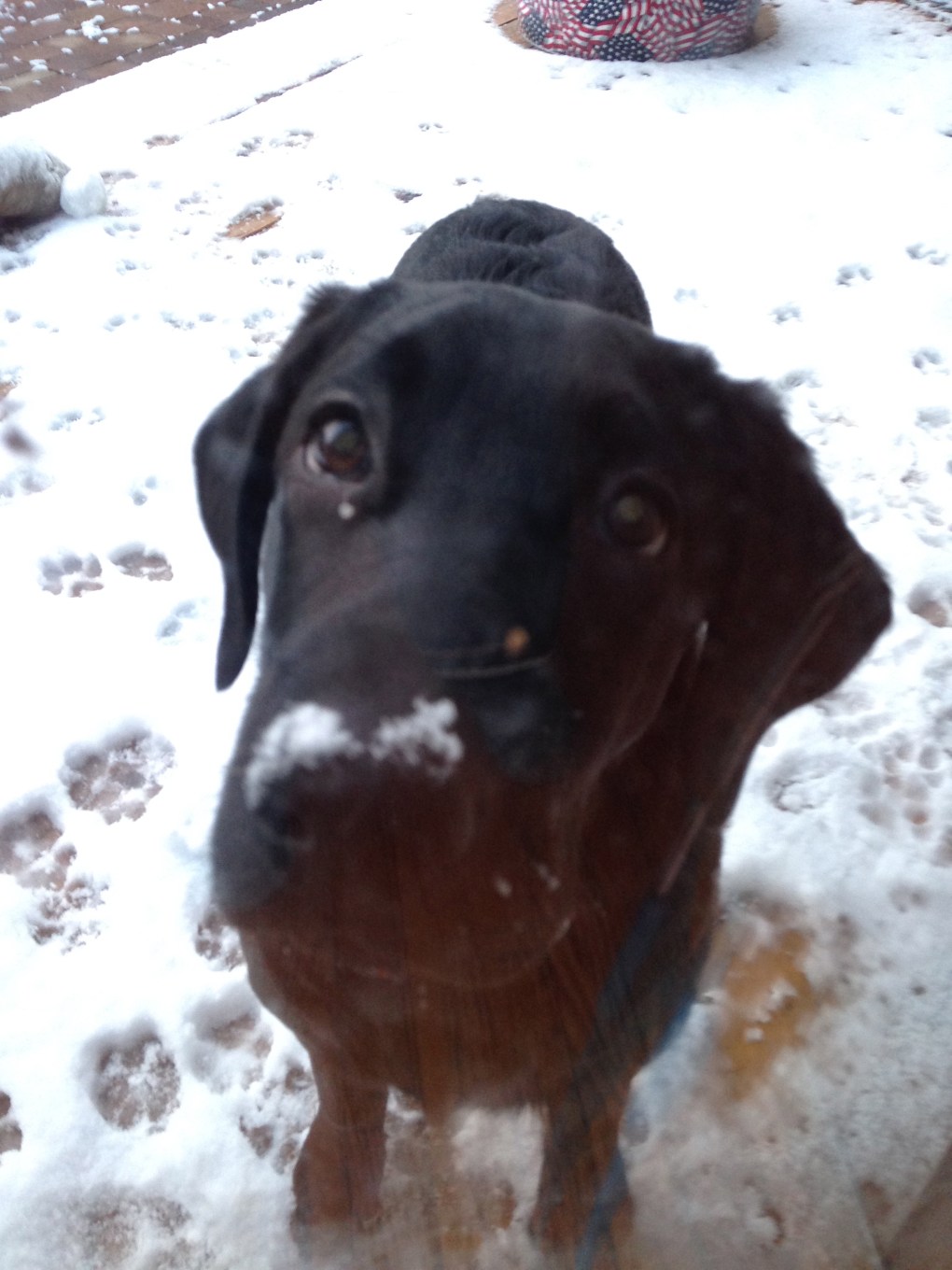 Little Man's First Snow