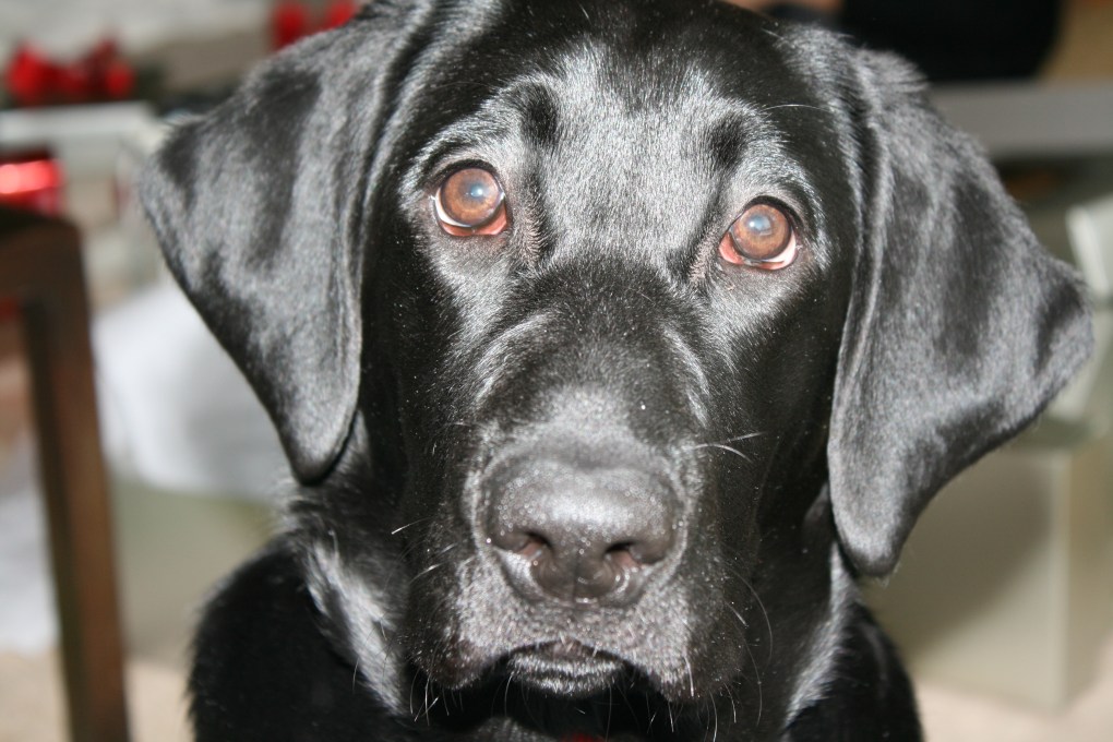 Cuteness Alert: Little Man!